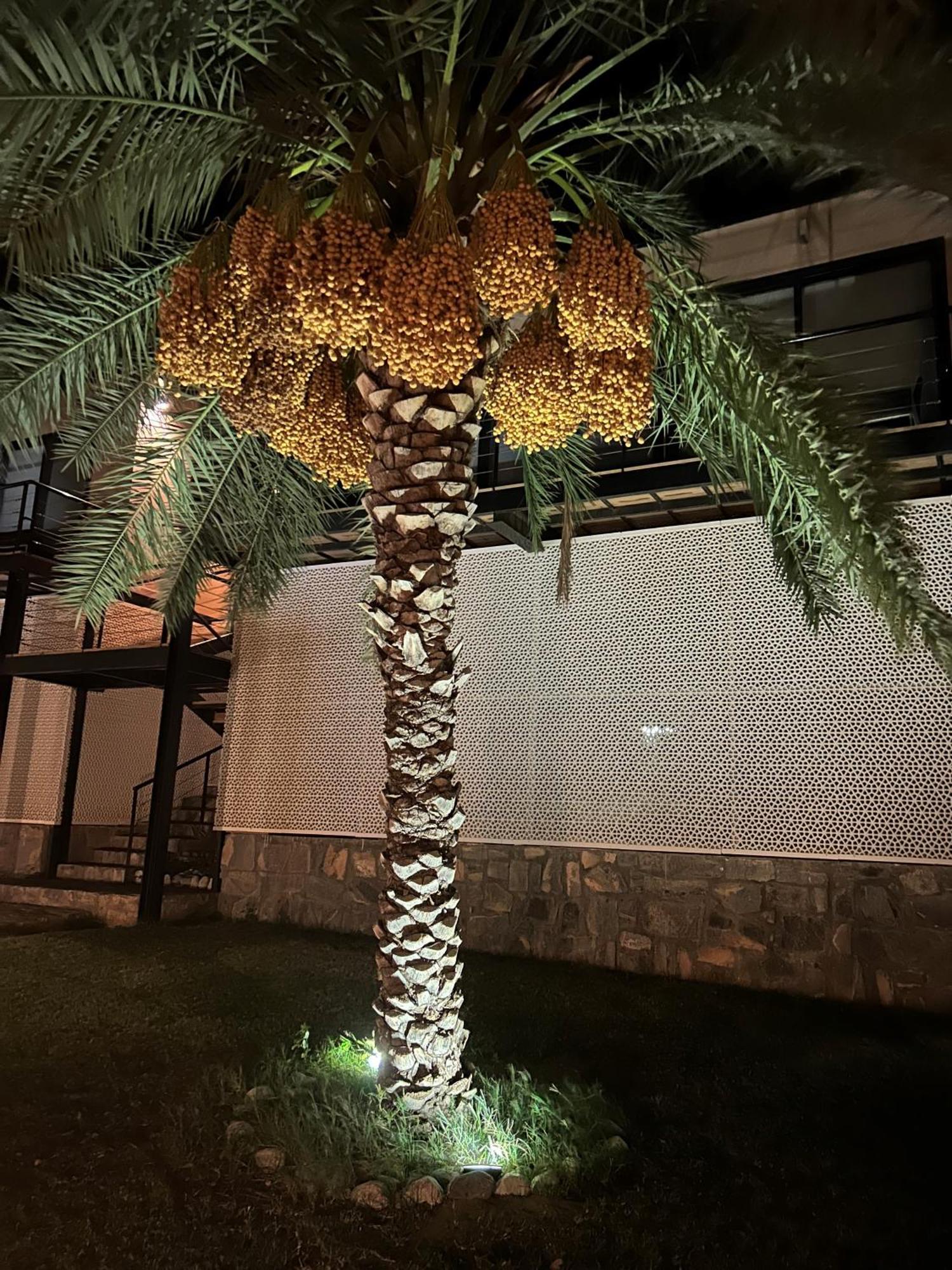 The View Al Hamra Exterior foto